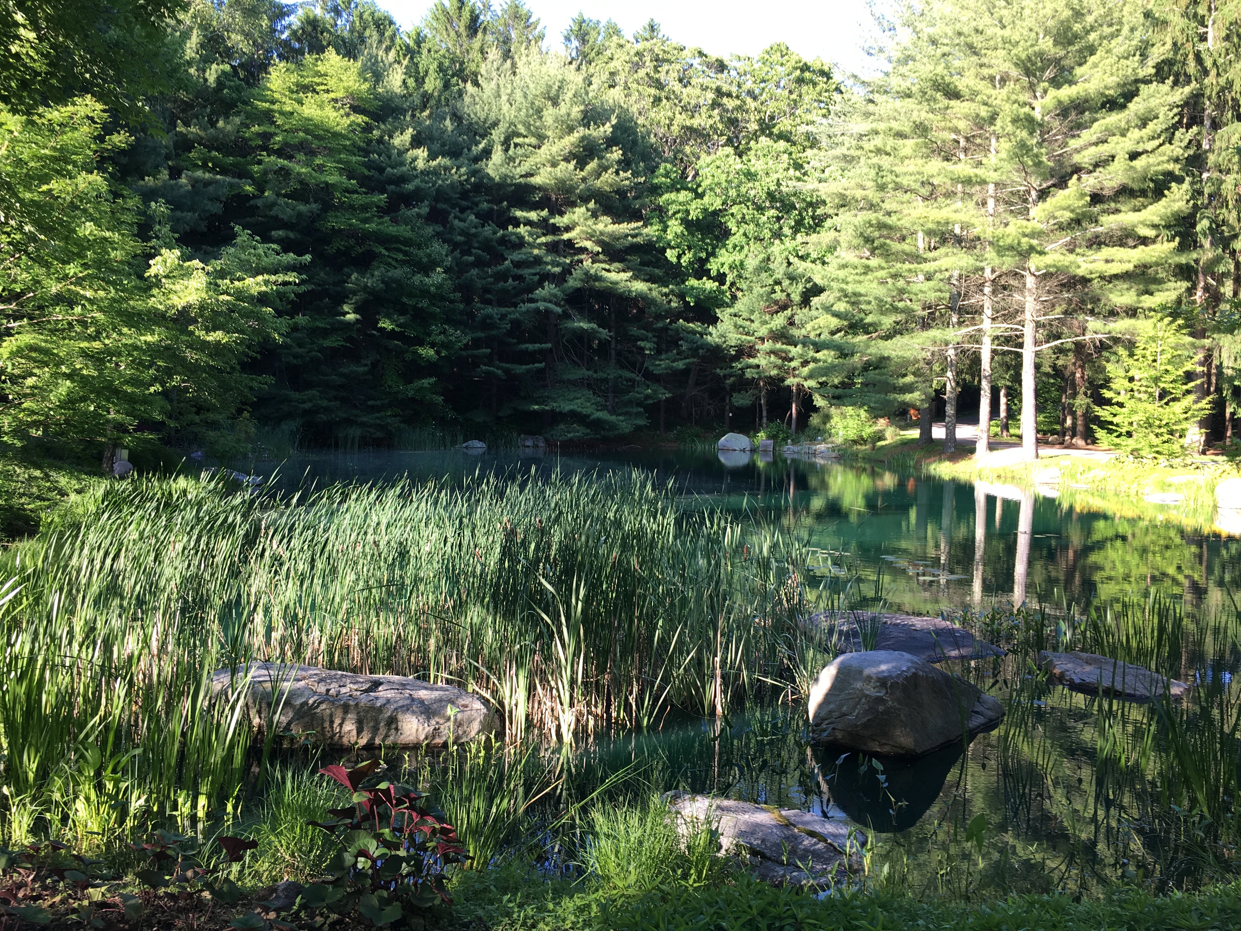 Chatfield Hollow Inn-浴室