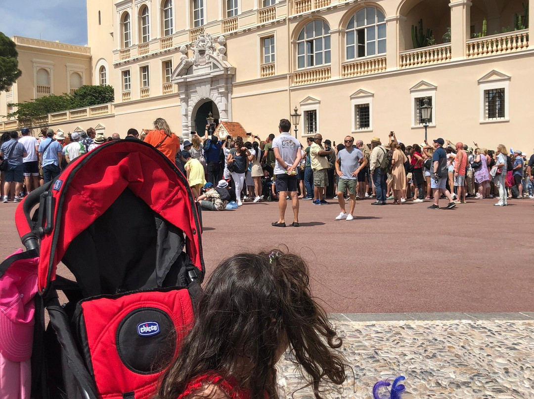 Smartour Riviera-尼斯必去景点