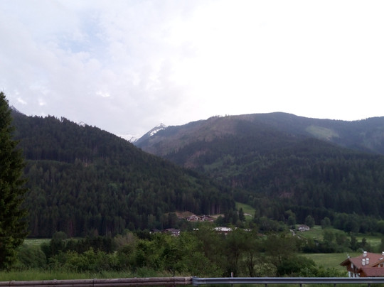 Park Hotel Regina delle Dolomiti主图