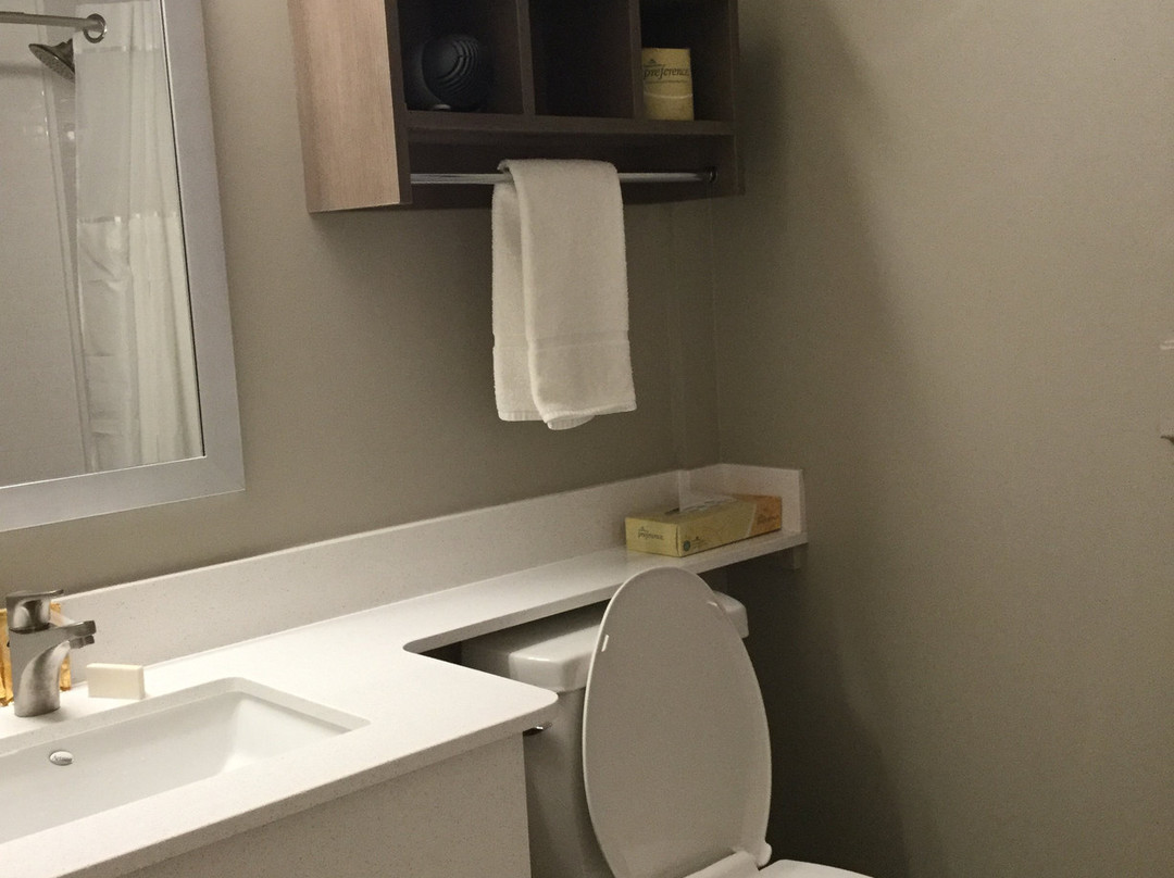 布里奇沃特酒店主图