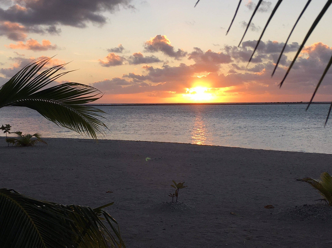 Pension Coconut Beach, Tikehau主图