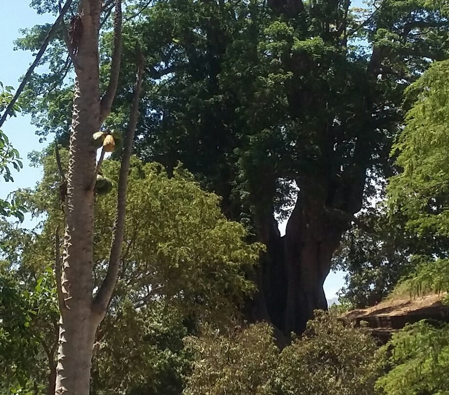 Praia City Hall-培亚必去景点