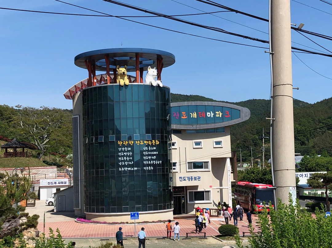 Jindo Dog Theme Park景点图片