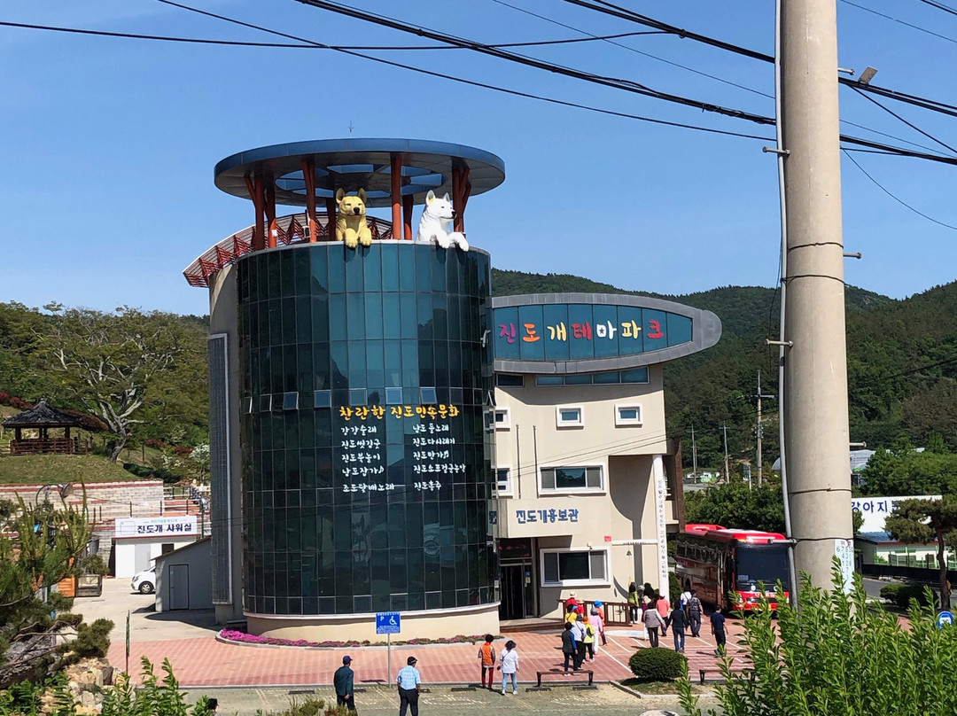 Jindo Dog Theme Park-珍岛郡必去景点