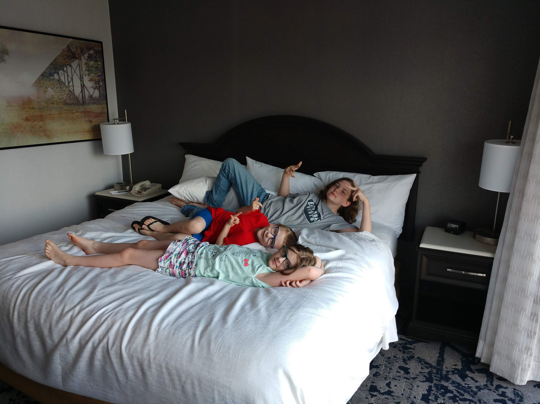 查尔斯顿合博套房酒店主图