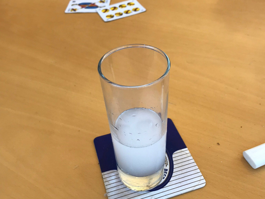 Plessas Palace Hotel主图