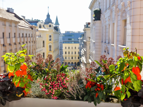 达斯蒂罗尔精品酒店主图