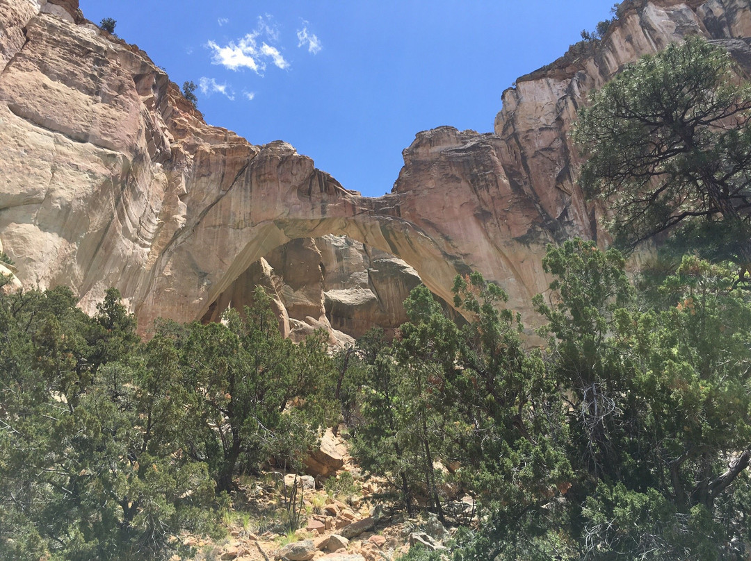 La Ventana Natural Arch景点图片