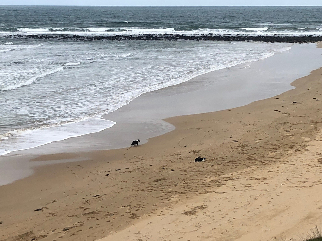 Bremlea Beach Bancoora-托基必去景点