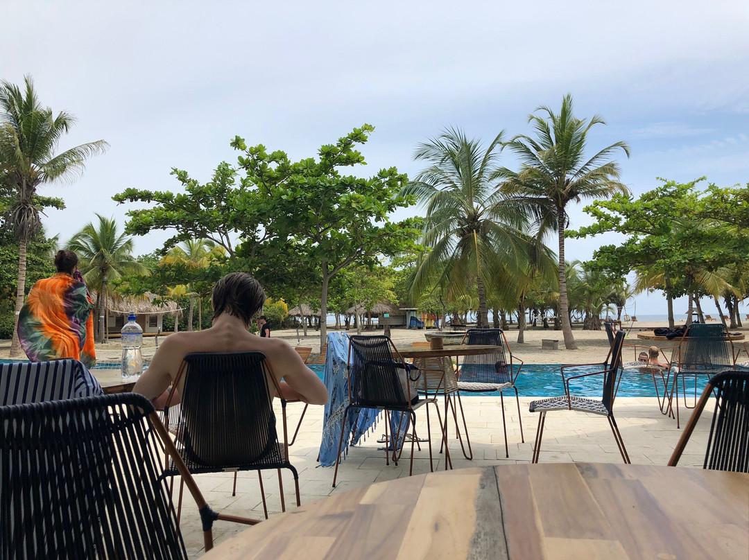 Buritaca酒店住宿-Viajero Hostel Tayrona & Ecohabs