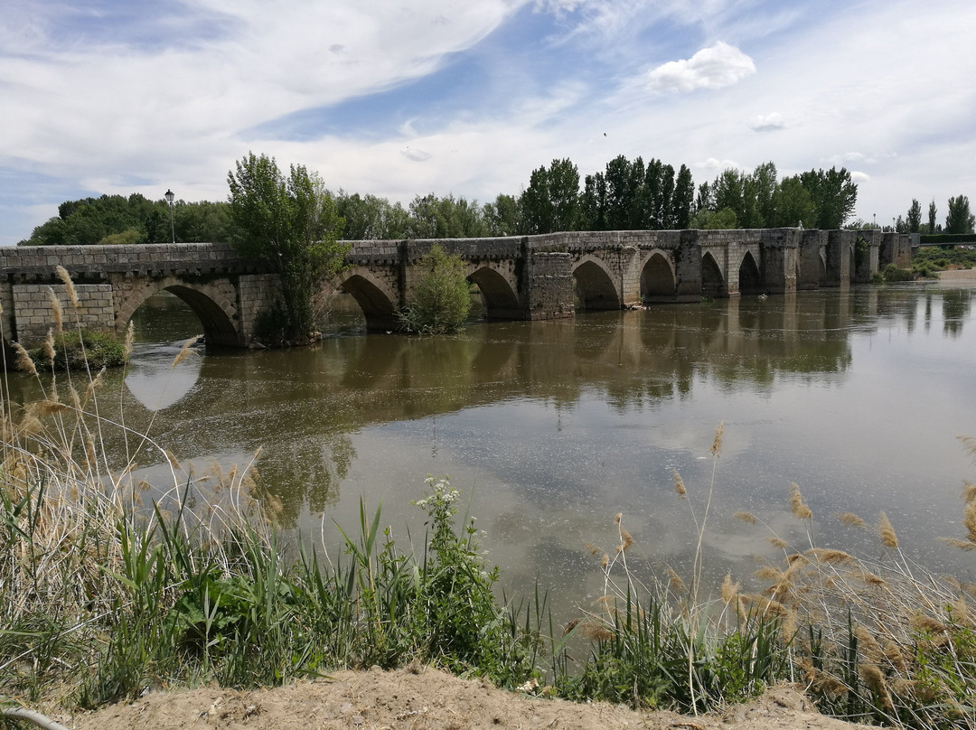 Puente de Simancas景点图片