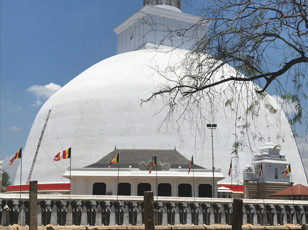 Rainbow Tours Sri Lanka景点图片