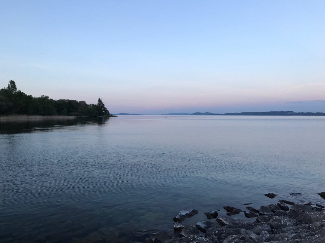 Lac de Neuchâtel景点图片