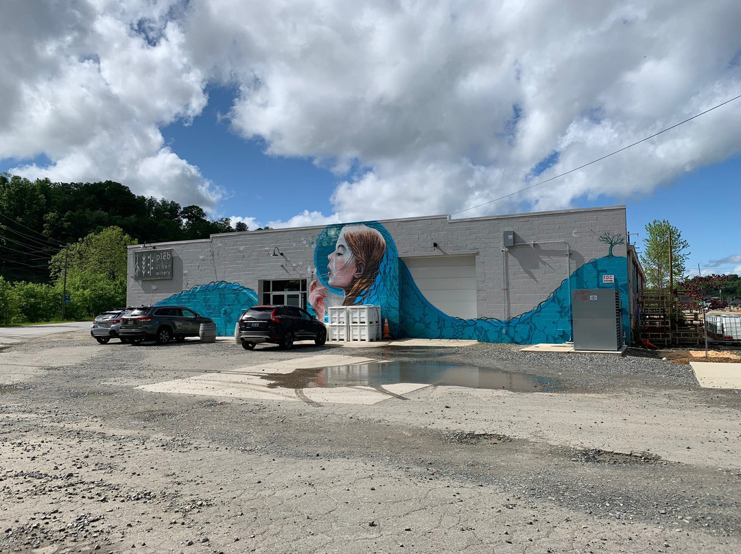 plēb urban winery-阿什维尔必去景点