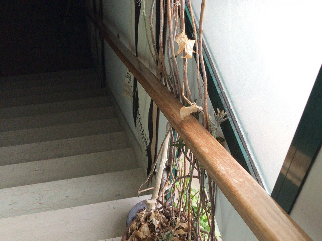 Casa Bice主图