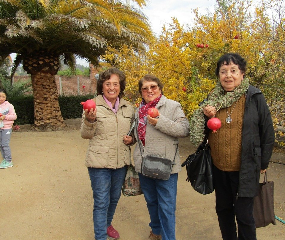 Vina Apaltagua-圣克鲁斯必去景点