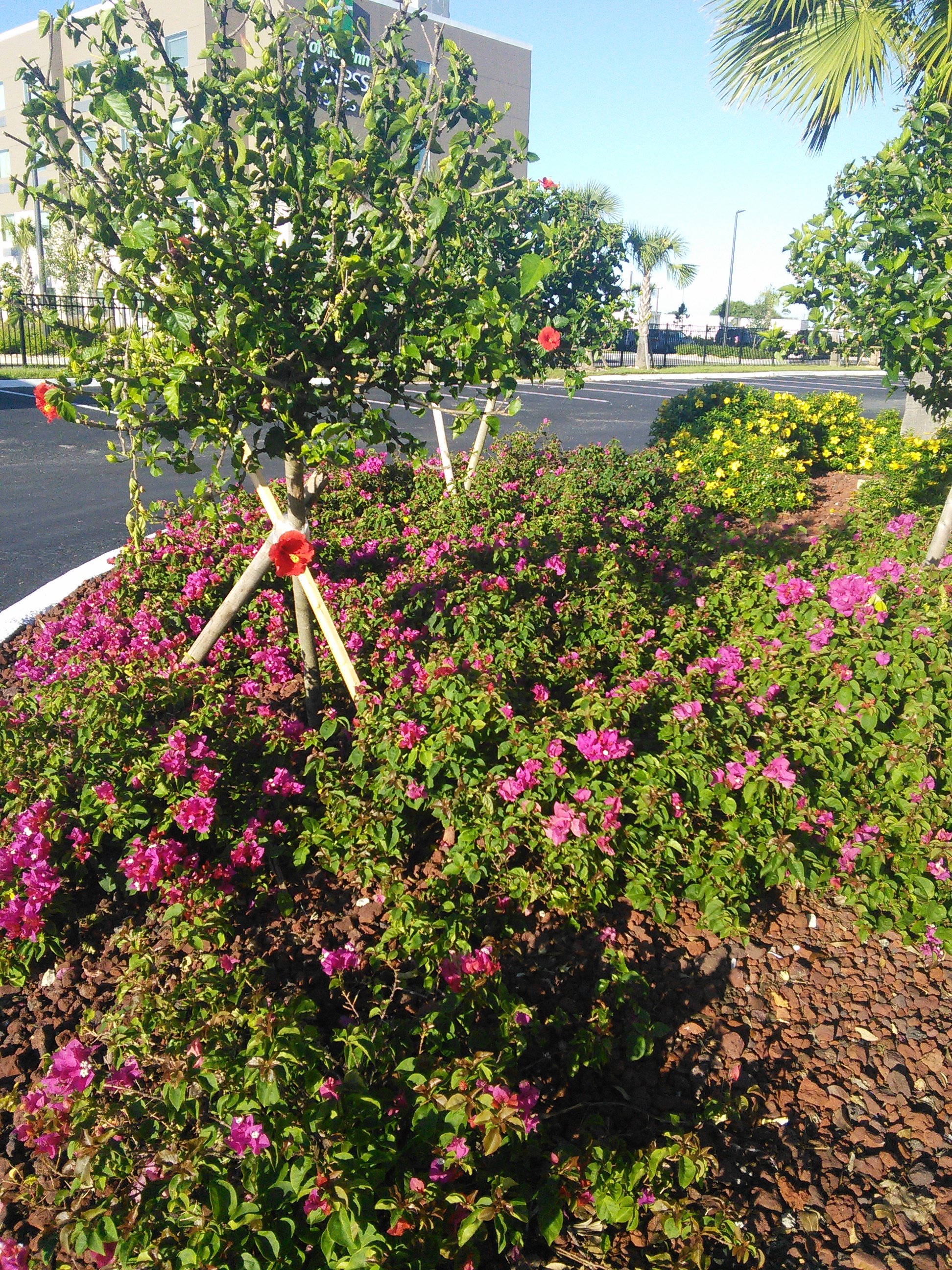 Baymont by Wyndham Punta Gorda/Port Charlotte-浴室