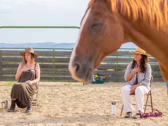 Park City Horse Experience-Kamas必去景点