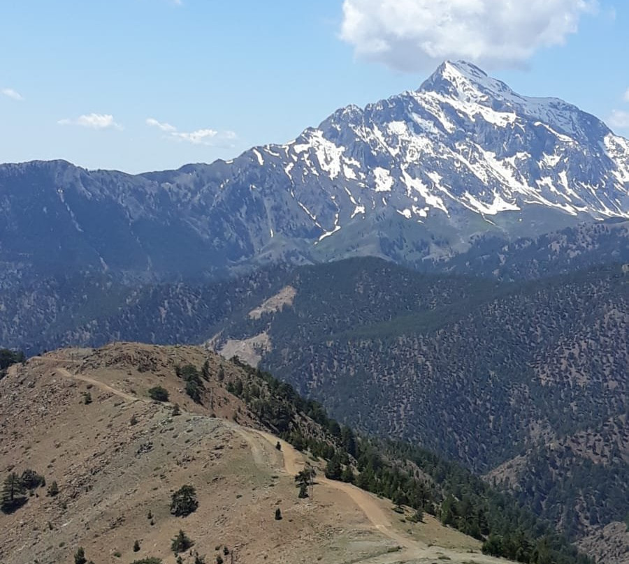 Ozsafak Pension主图