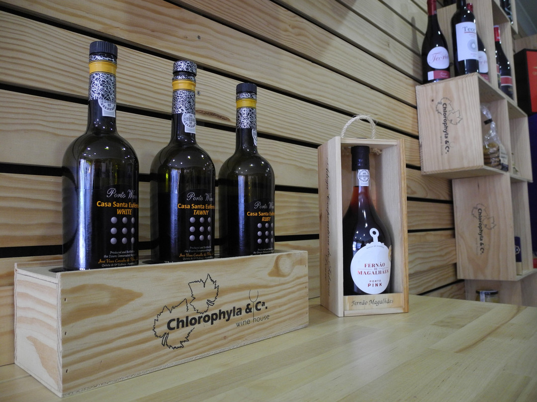 Vamos Kombinar-佩苏达雷瓜必去景点