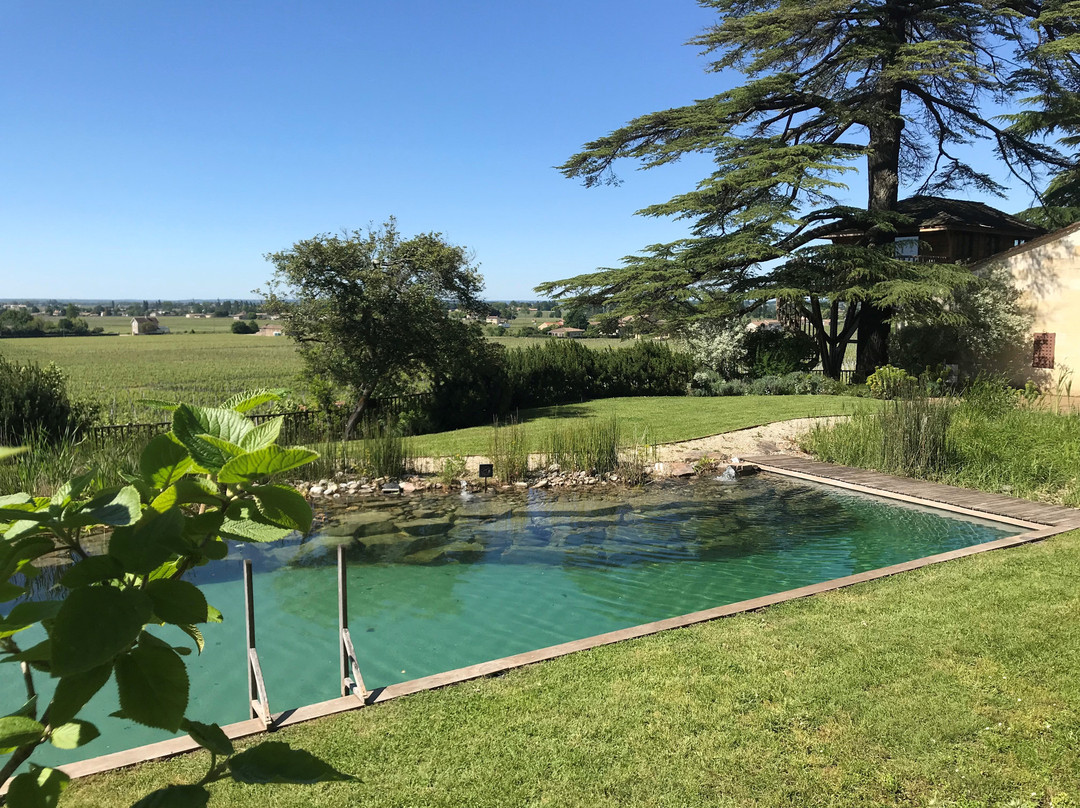 Le Relais de Franc Mayne主图