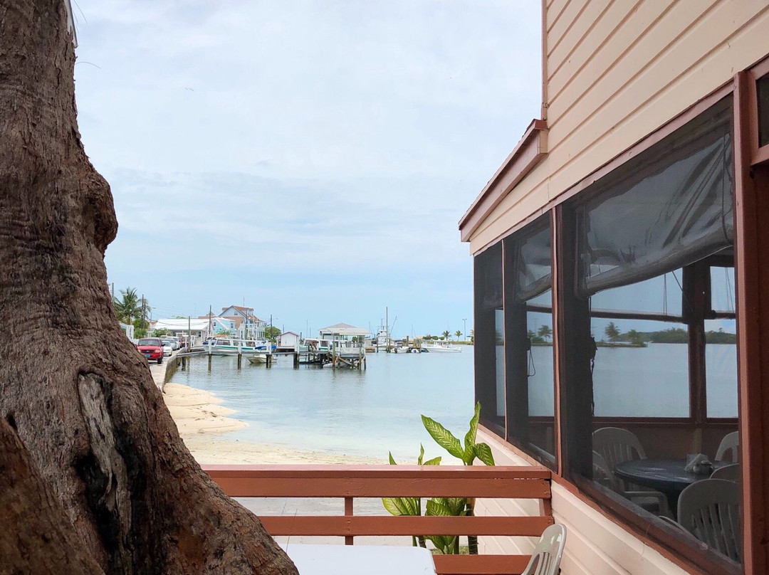 Capt. Mark's Fishing Charter景点图片
