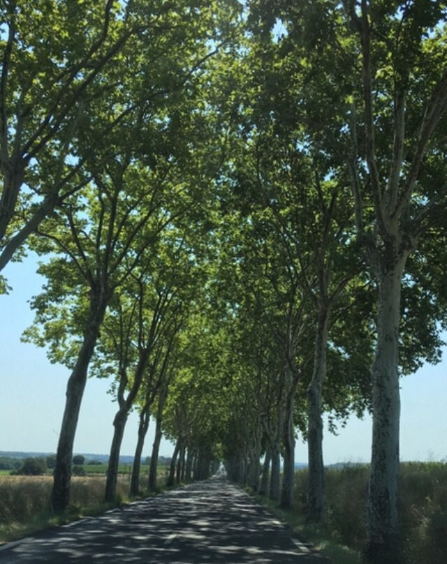 Maison Jacques主图