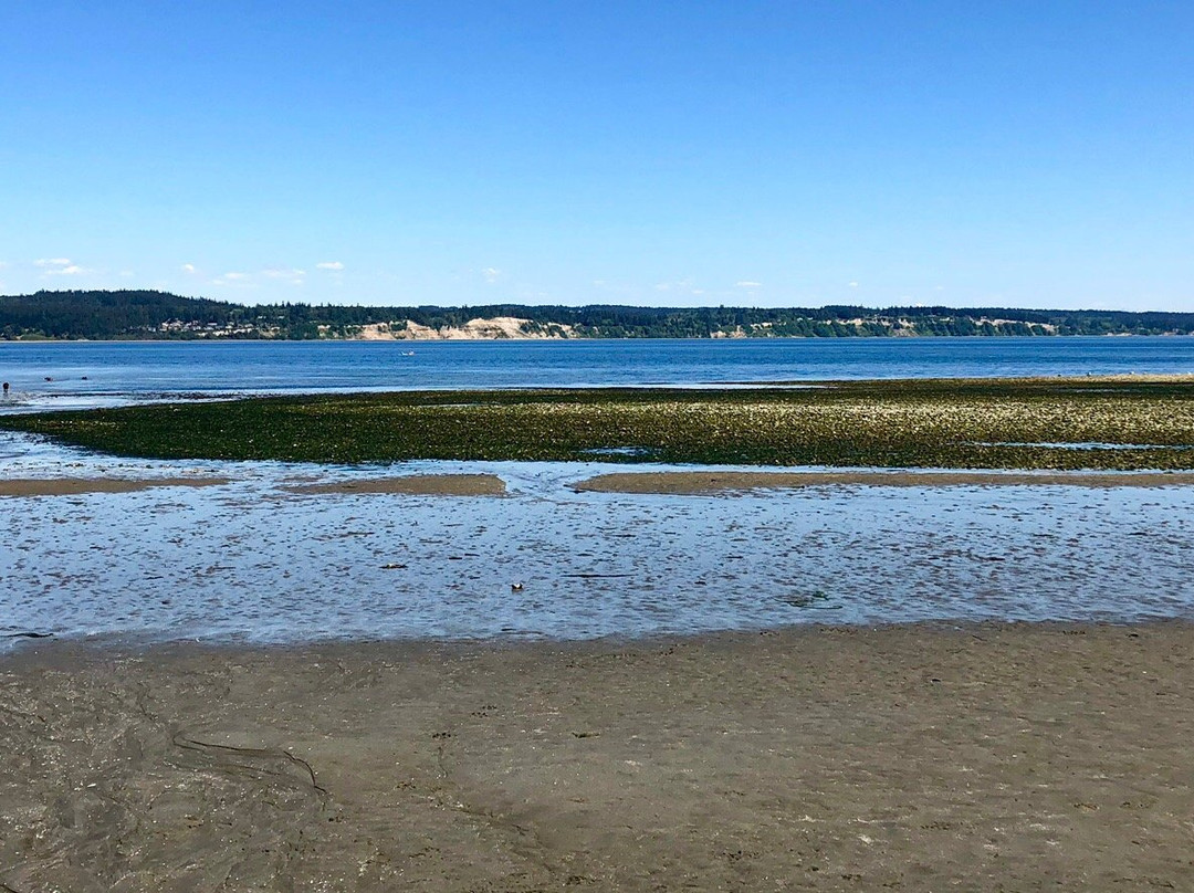 Double Bluff County Park景点图片