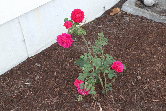 Light House Park-Warrenton必去景点