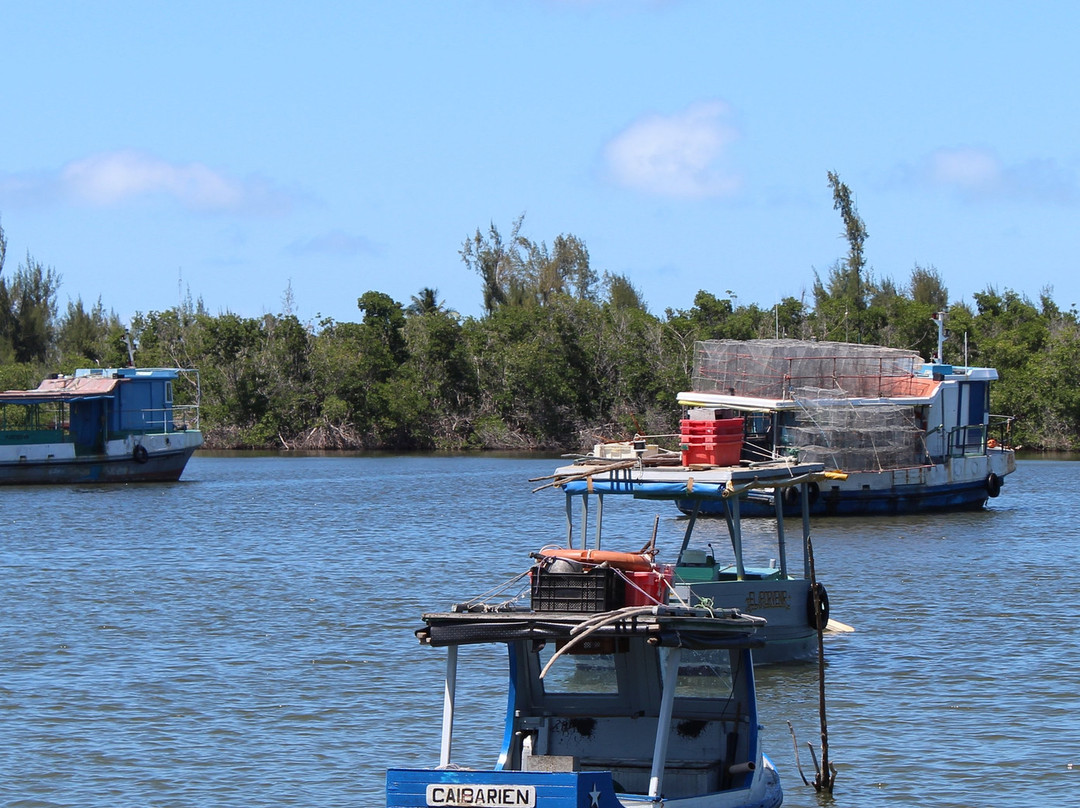 Hostal Calle12主图