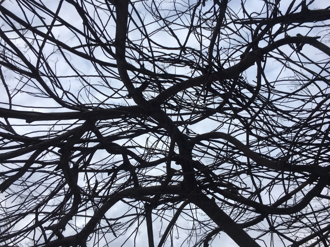 Petroleum Museum-Mossoro必去景点