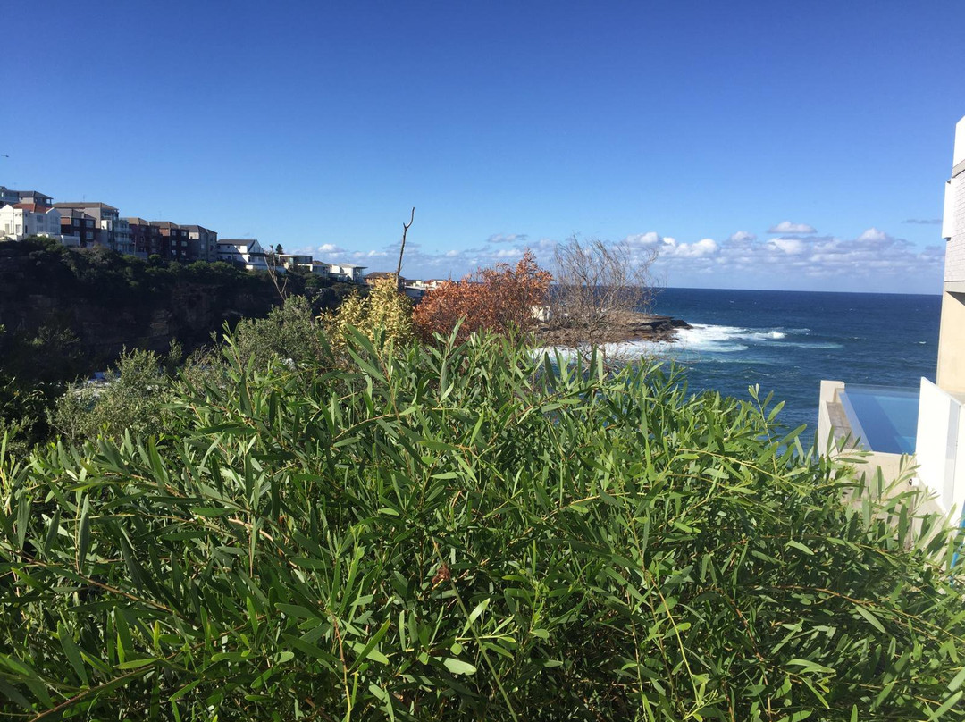 North Bondi Lookout景点图片
