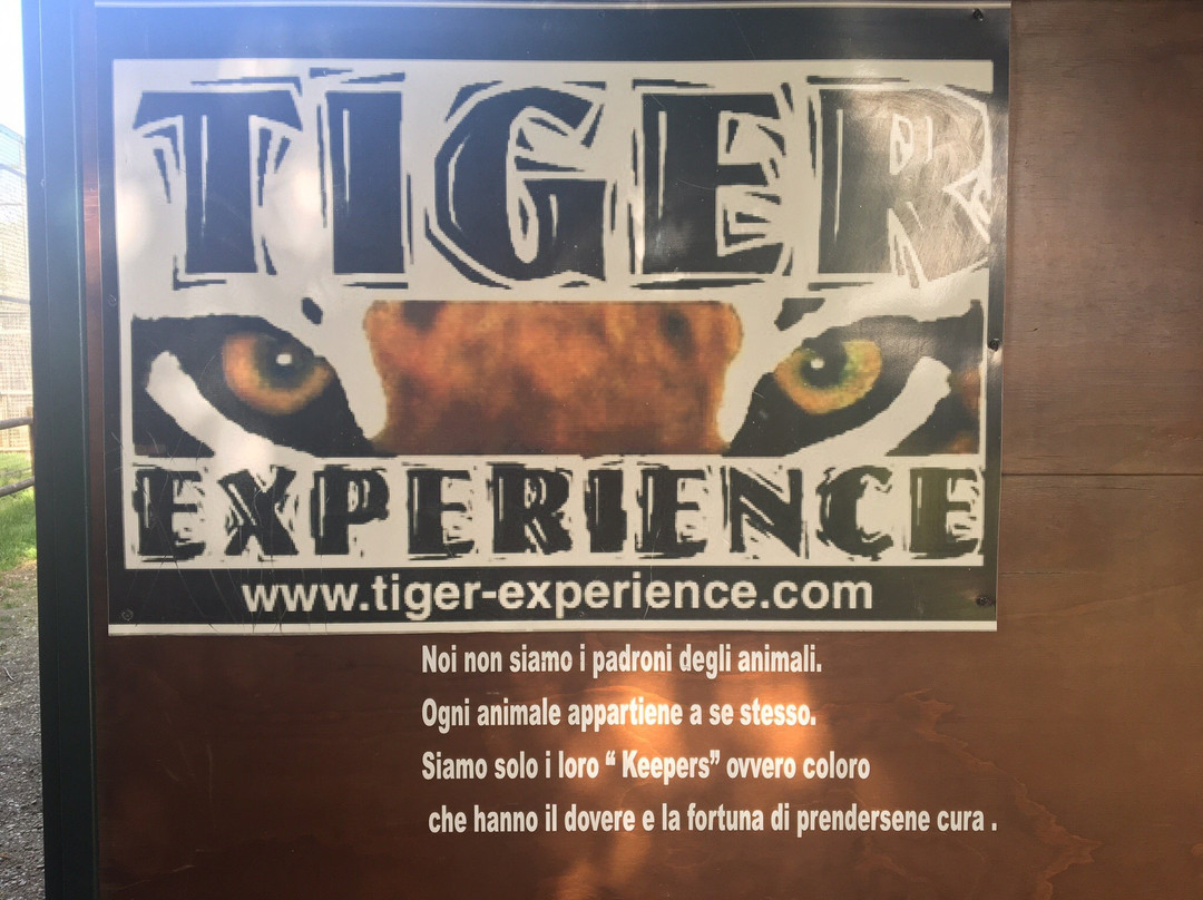 Tiger Experience景点图片