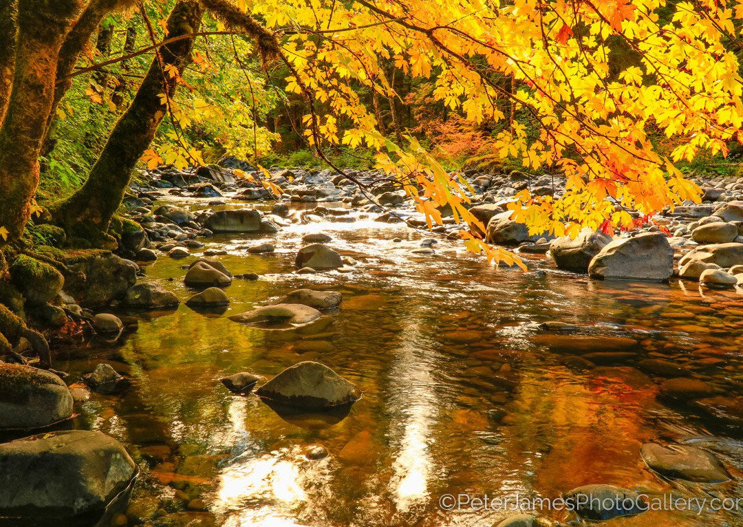 Peter James Photography Gallery-贝灵厄姆必去景点