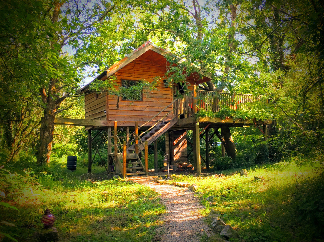 Teapot Lane Glamping - Adults Only