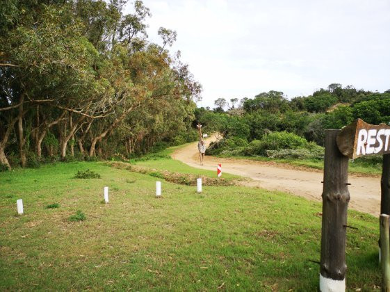 Seaview Lion Park-伊丽莎白港必去景点