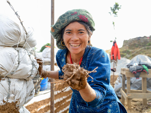 Dharma Trips-本德必去景点