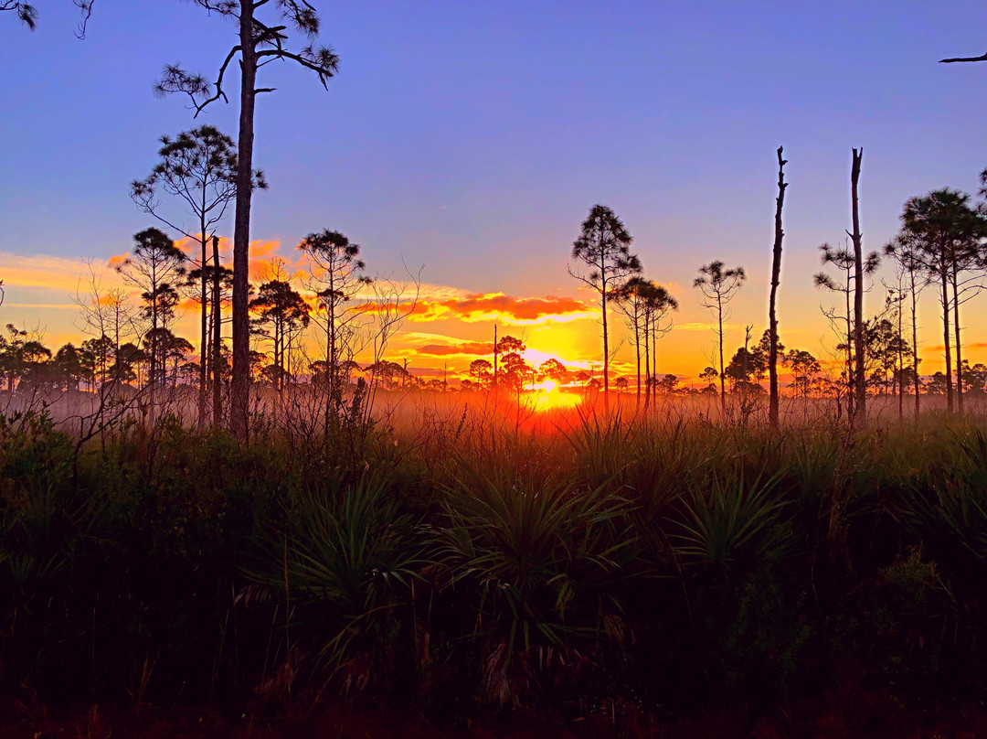 Savannas Preserve State Park-圣露西港必去景点