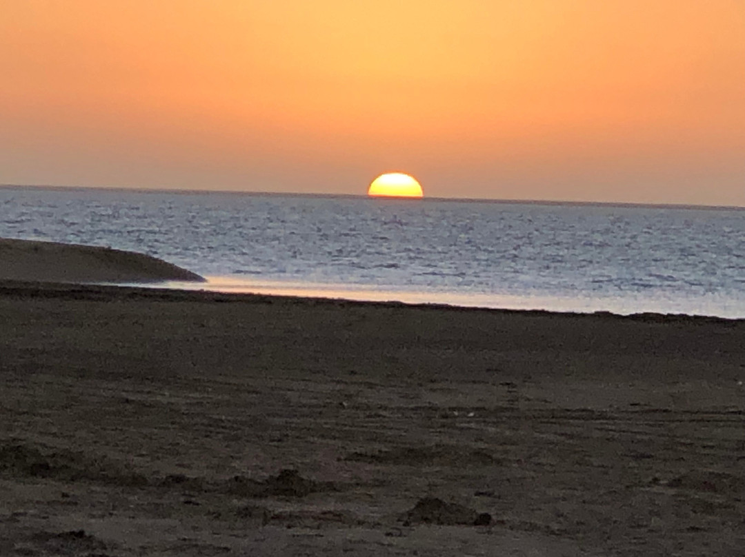 Desert Magic Tours Namibia-斯瓦科普蒙德必去景点