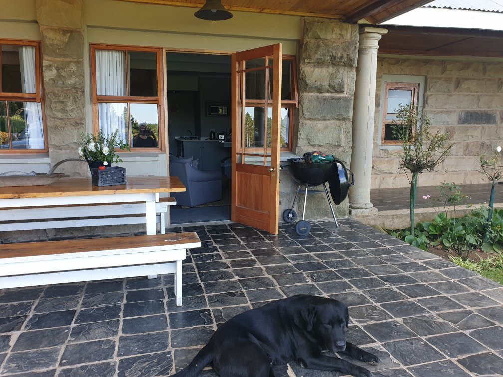 Thyme Out Weltevreden Farm主图