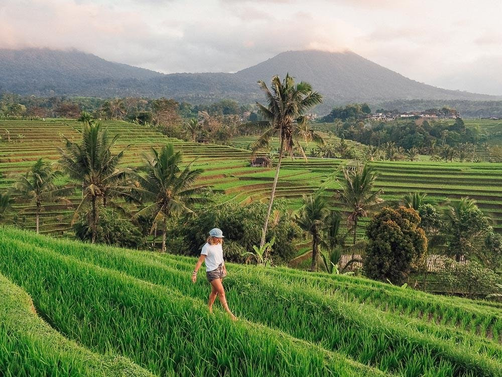 Bali Private Tour-吉安雅必去景点