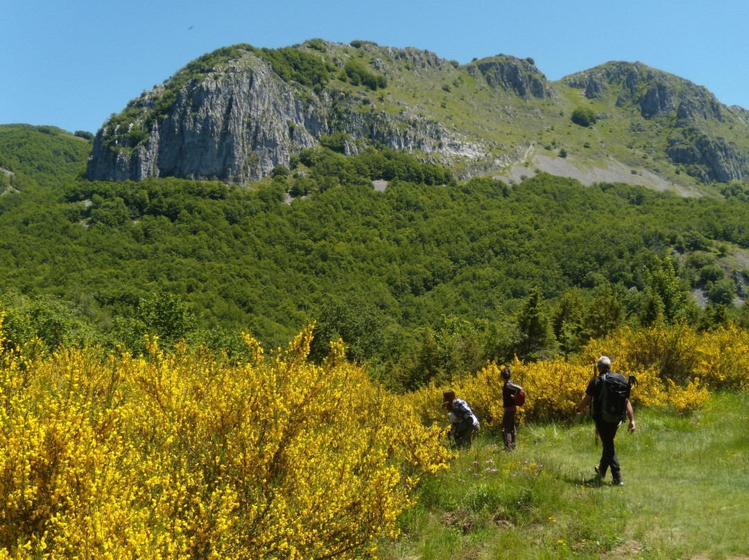 Garfagnana Travel景点图片