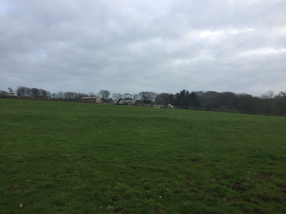 Netherton Farm Holiday Cottages