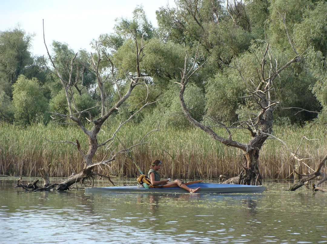 Kayak Danube Delta景点图片