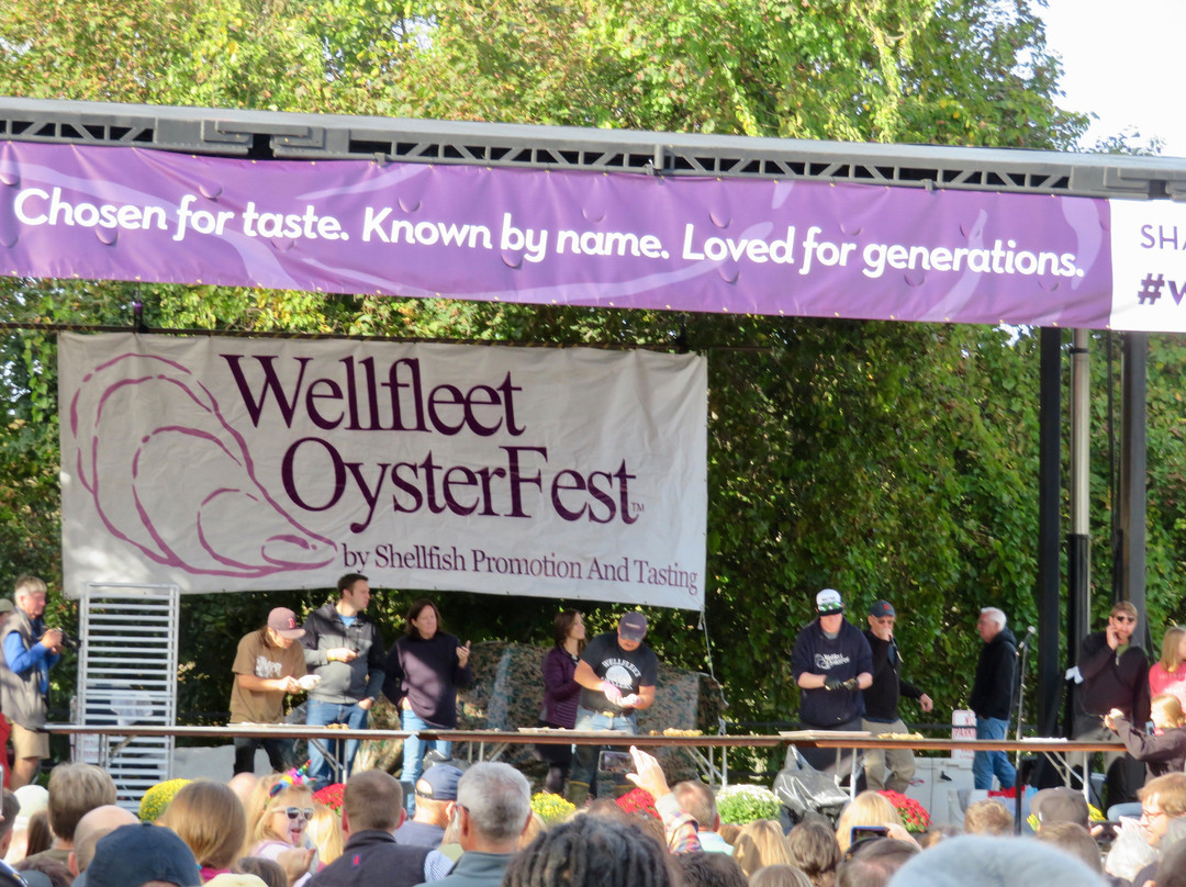 Oyster Cove B&B On Wellfleet Harbor主图