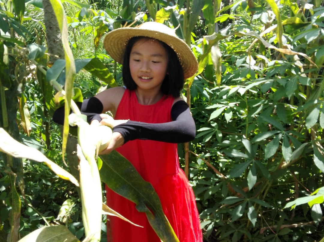 Mai Organic Farm-佩京必去景点