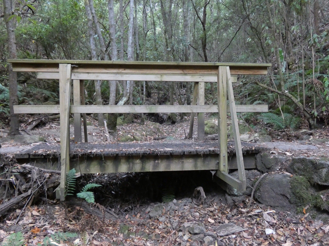 Alum Cliffs Track-Taroona必去景点