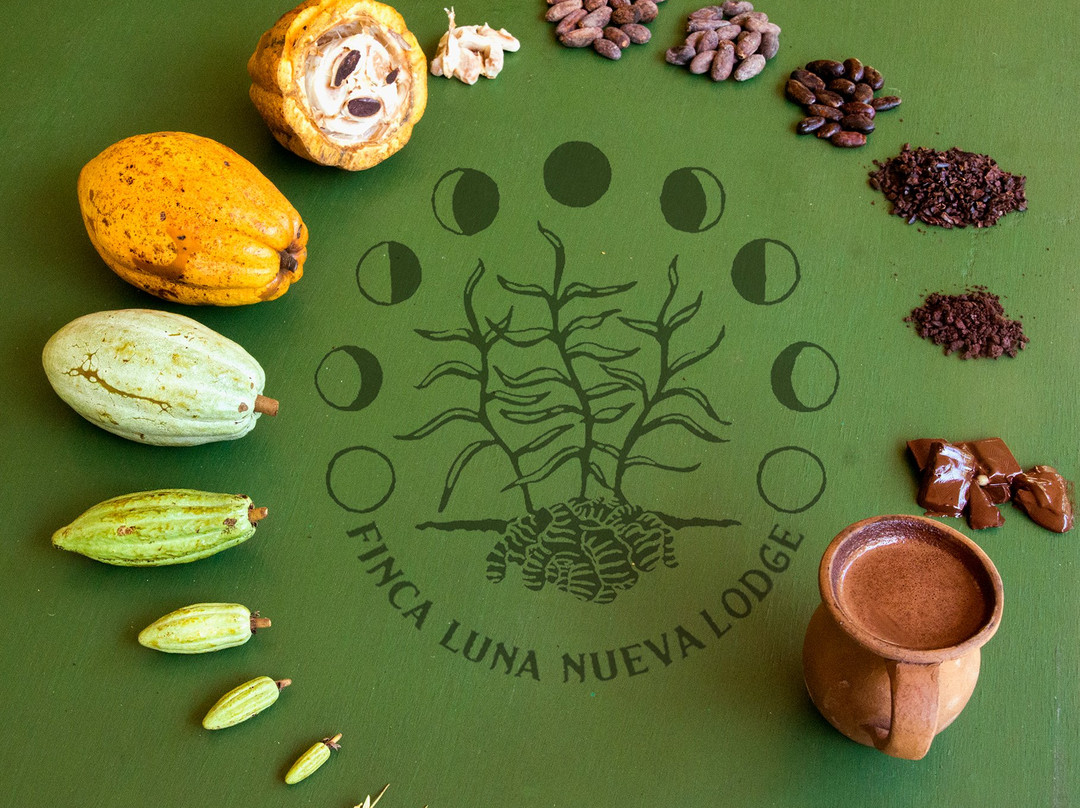 Tours At Finca Luna Nueva景点图片