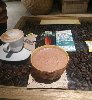 Republica Del Cacao - Mall El Jardín-基多必去景点