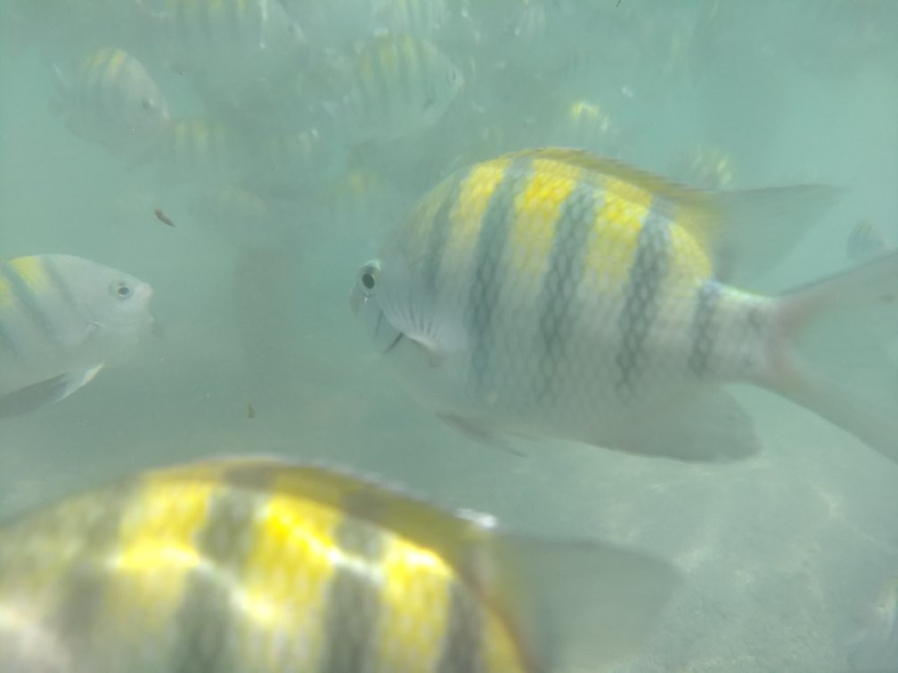 Piscinas Naturais de Barra Grande景点图片